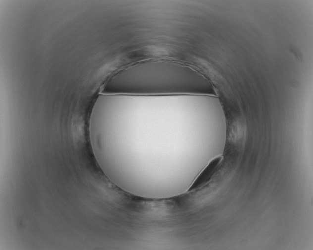 X0000114240524200910091351
