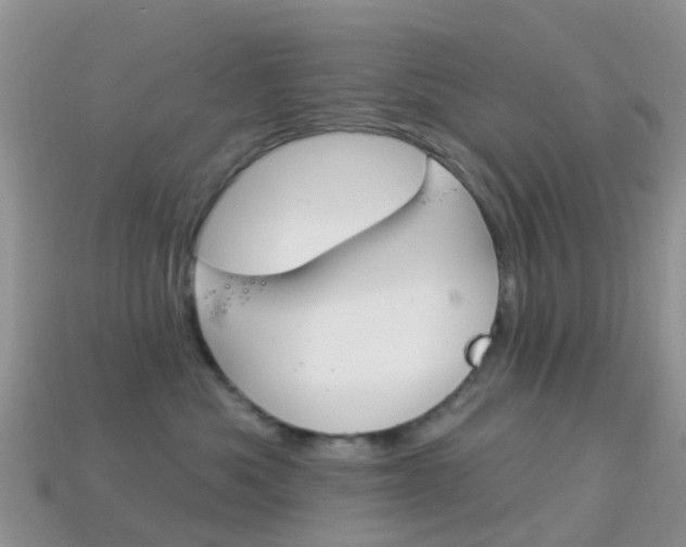 X0000114240525200910091351