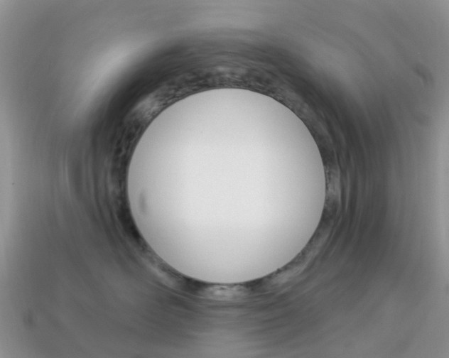 X0000114240526200910091351