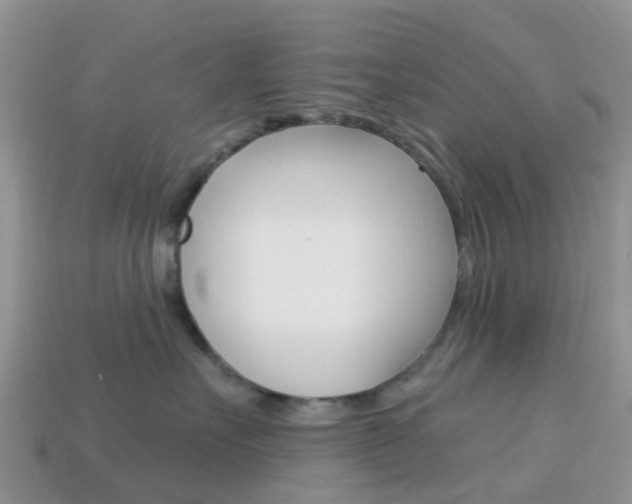X0000114240527200910091351