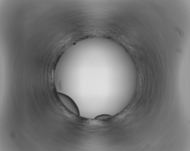 X0000114240528200910091351