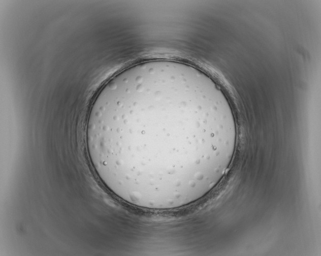 X0000114240529200910091351
