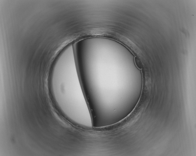 X0000114240530200910091351
