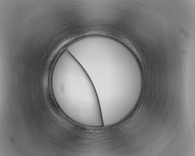 X0000114240531200910091351