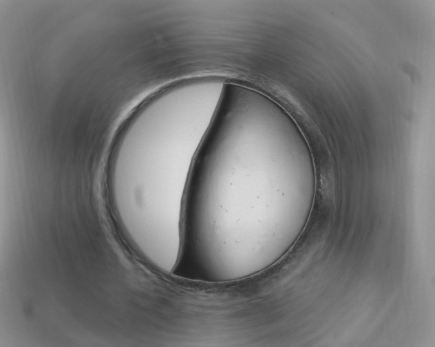 X0000114240532200910091351