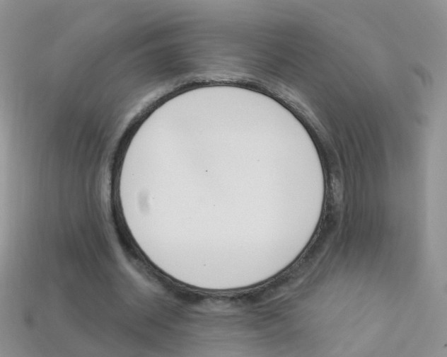 X0000114240534200910091351