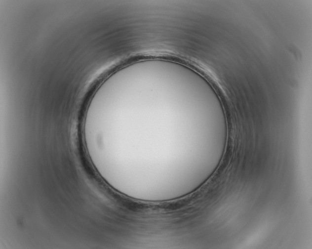 X0000114240535200910091351