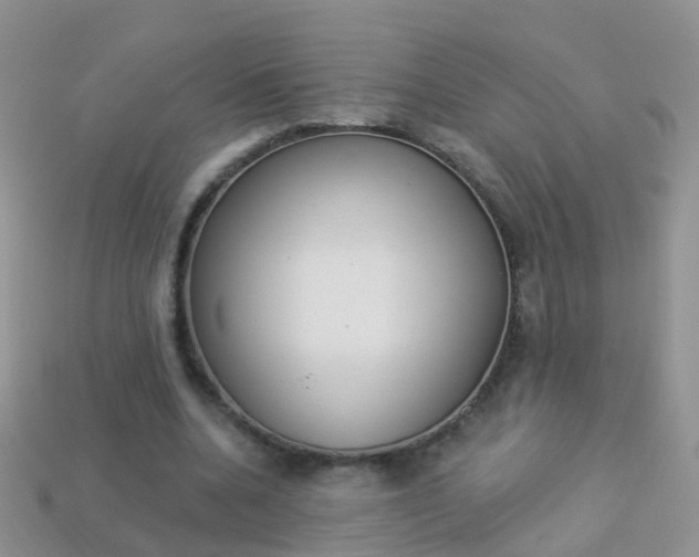 X0000114240536200910091351