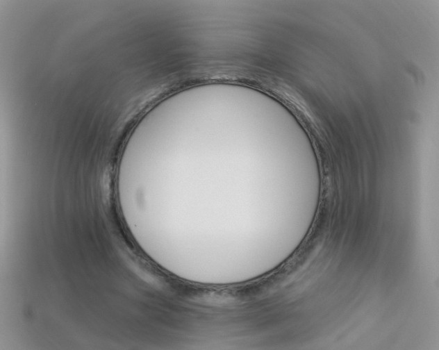 X0000114240537200910091351