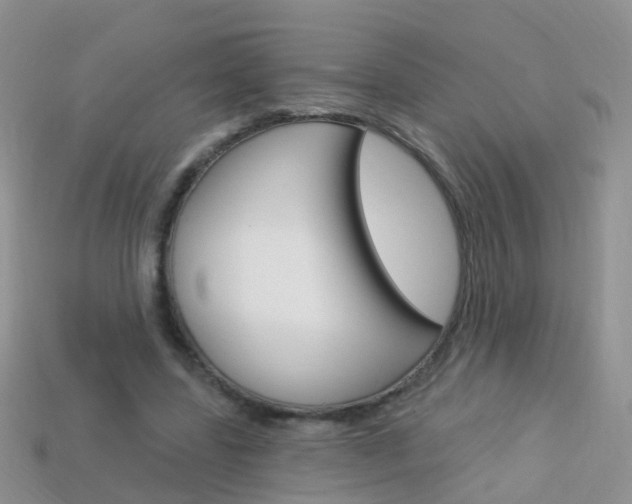 X0000114240539200910091351