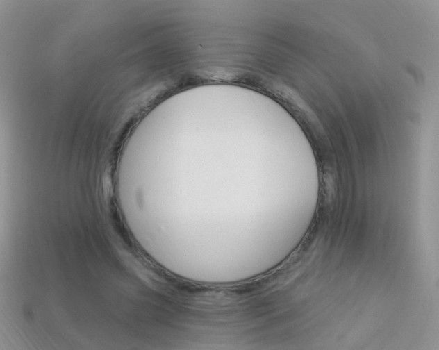 X0000114240541200910091351