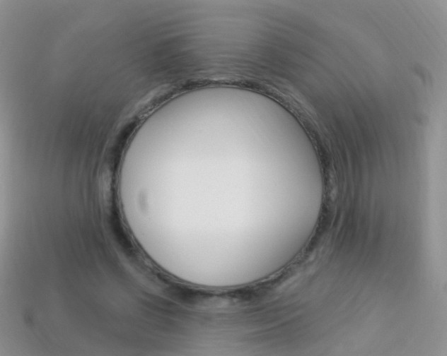 X0000114240542200910091351