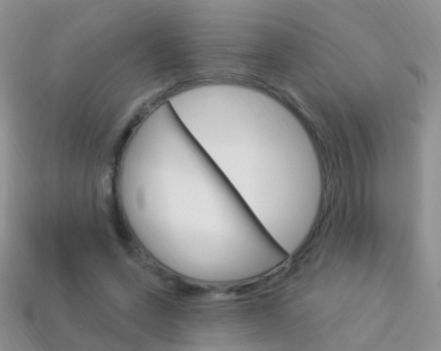 X0000114240543200910091351