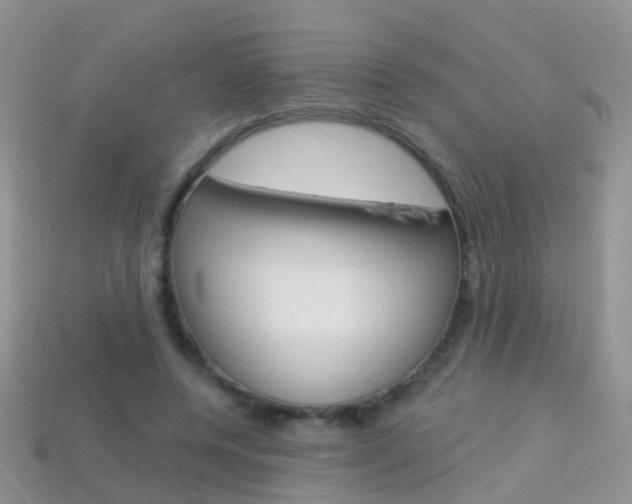 X0000114240544200910091351