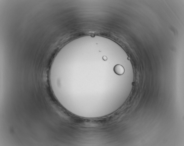 X0000114240545200910091351