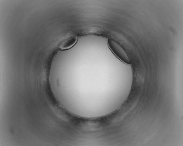X0000114240546200910091351