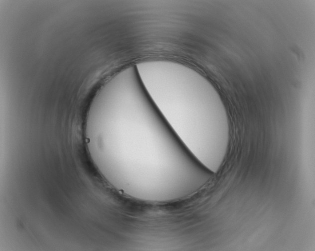 X0000114240547200910091351