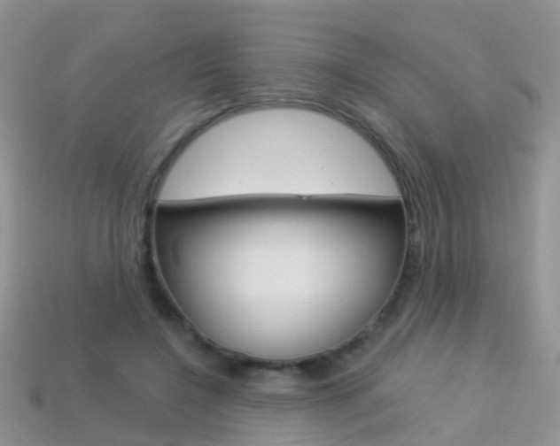 X0000114240548200910091351