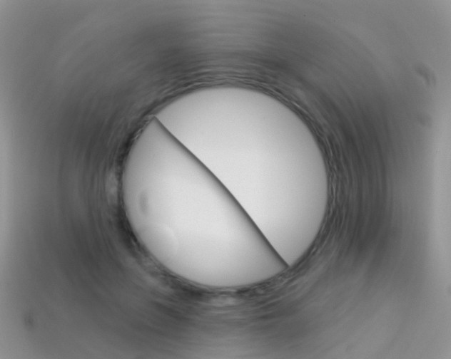 X0000114240551200910091351