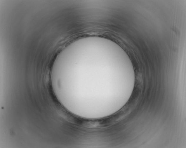 X0000114240554200910091351