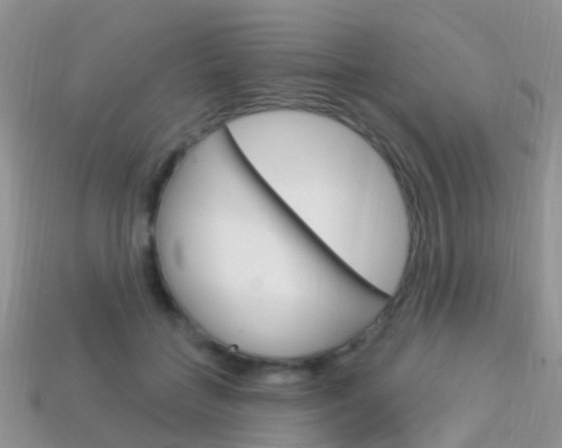 X0000114240555200910091351