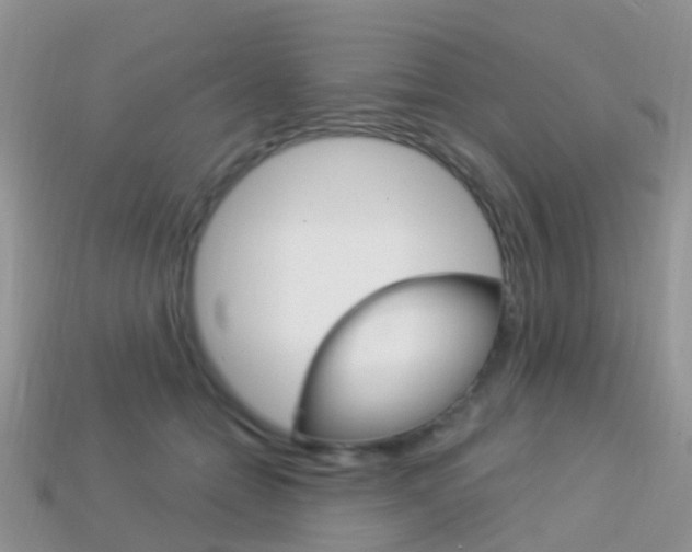 X0000114240558200910091351