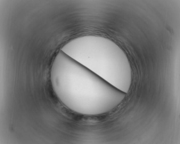 X0000114240559200910091351