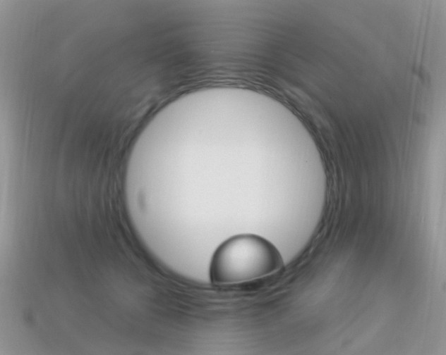X0000114240560200910091351