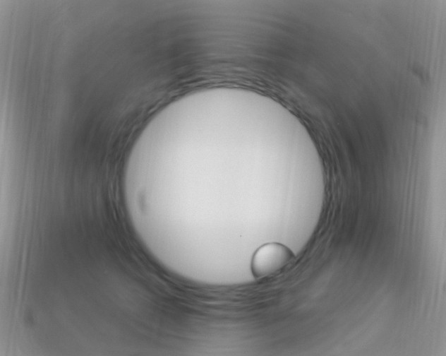 X0000114240562200910091351