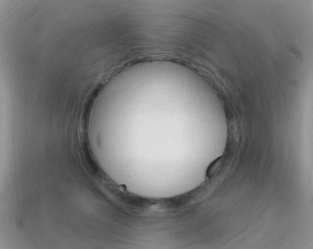 X0000114240564200910091351