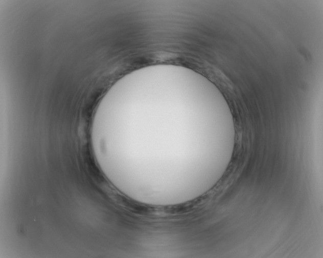 X0000114240565200910091351