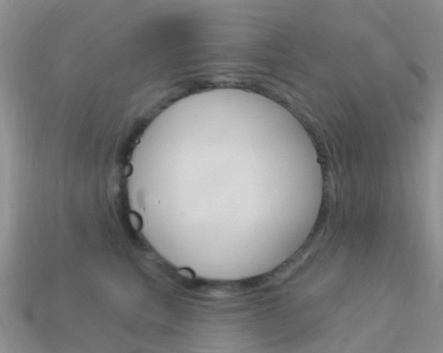 X0000114240567200910091351