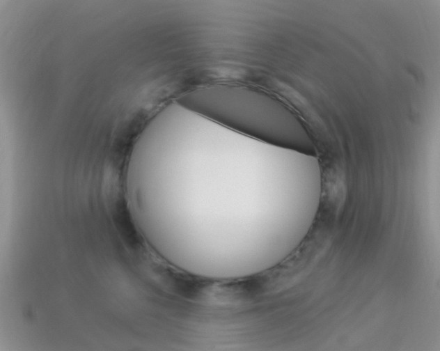 X0000114240568200910091351