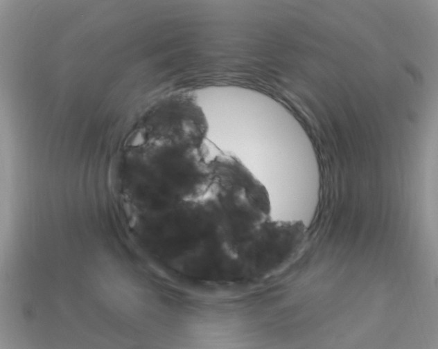 X0000114240569200910091351