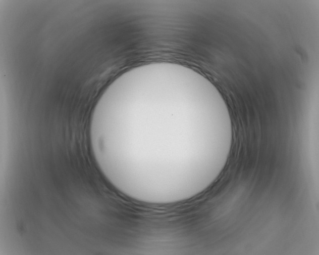 X0000114240570200910091351