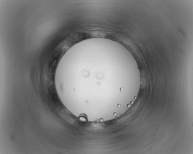 X0000114240573200910091351