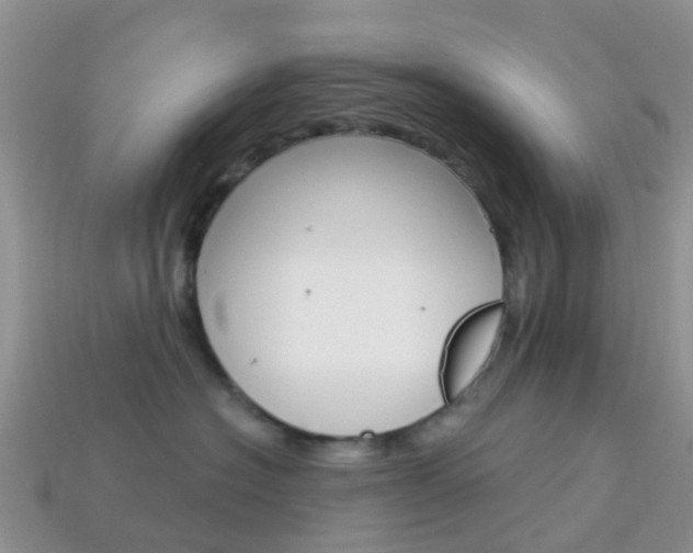 X0000114240574200910091351