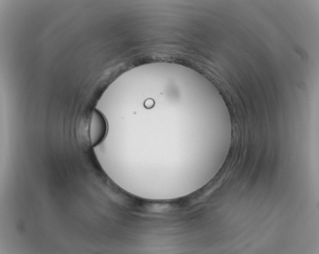 X0000114240575200910091351