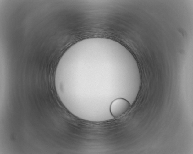 X0000114240576200910091351