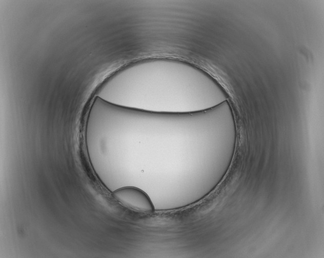 X0000114240578200910091350