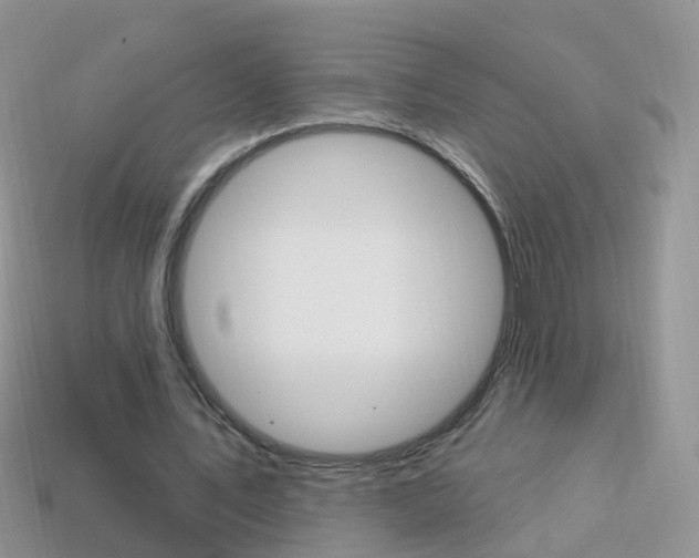 X0000114240579200910091350