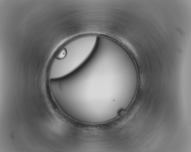 X0000114240580200910091350