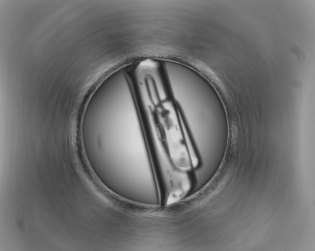 X0000114240581200910091350