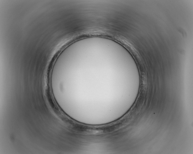 X0000114240582200910091350