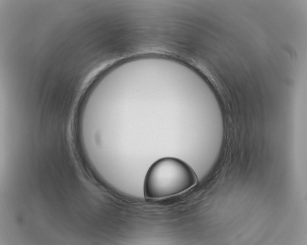 X0000114240583200910091350