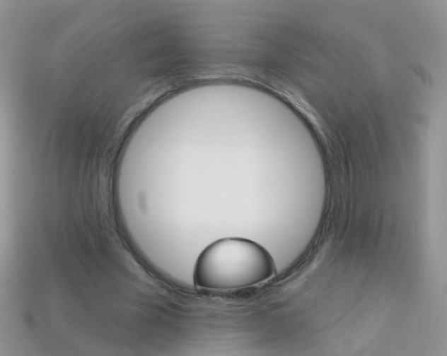 X0000114240585200910091350