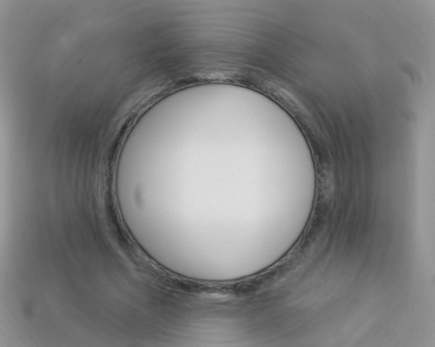 X0000114240586200910091350