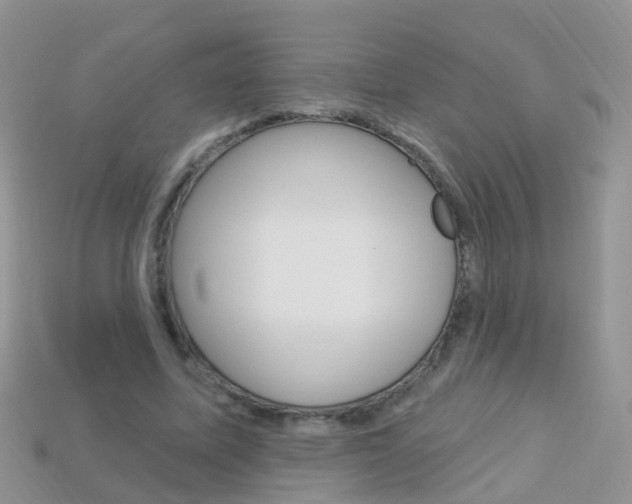 X0000114240587200910091350