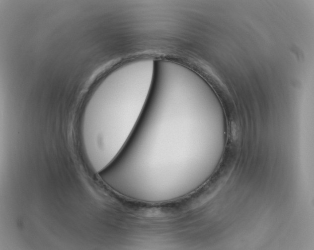 X0000114240588200910091350