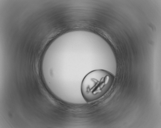 X0000114240589200910091350